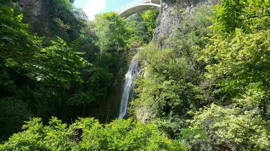 Jardim Botânico Nacional da Geórgia